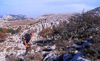  Cruce del Monle Albo